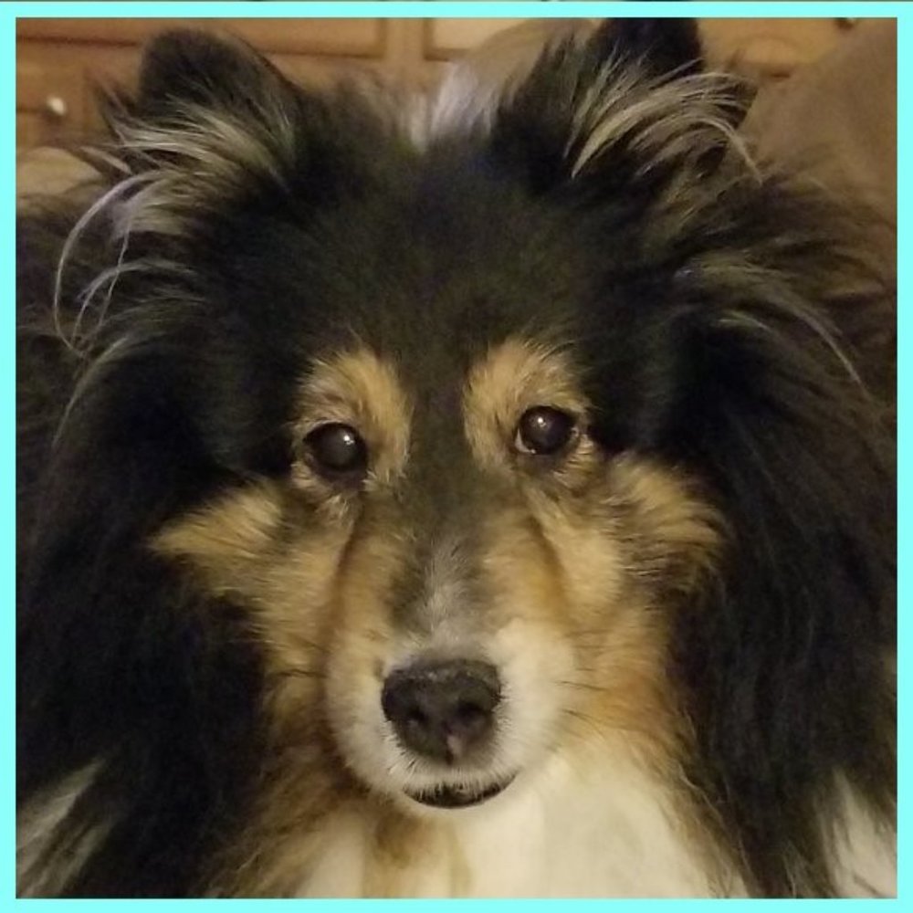 My Beautiful Chloe Girl